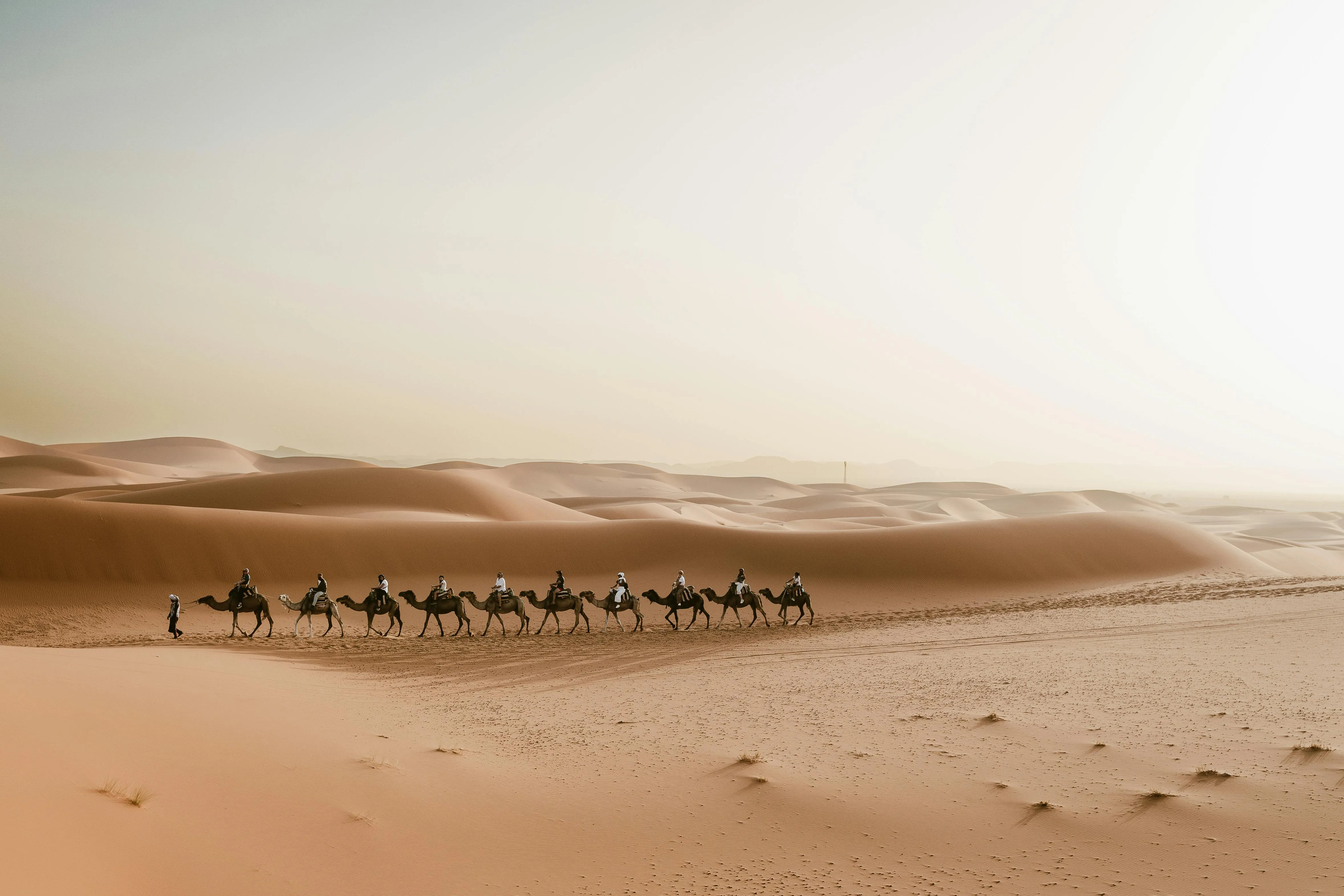 Tour 5 giorni da Fès a Marrakech via Merzouga e le gole del Todra