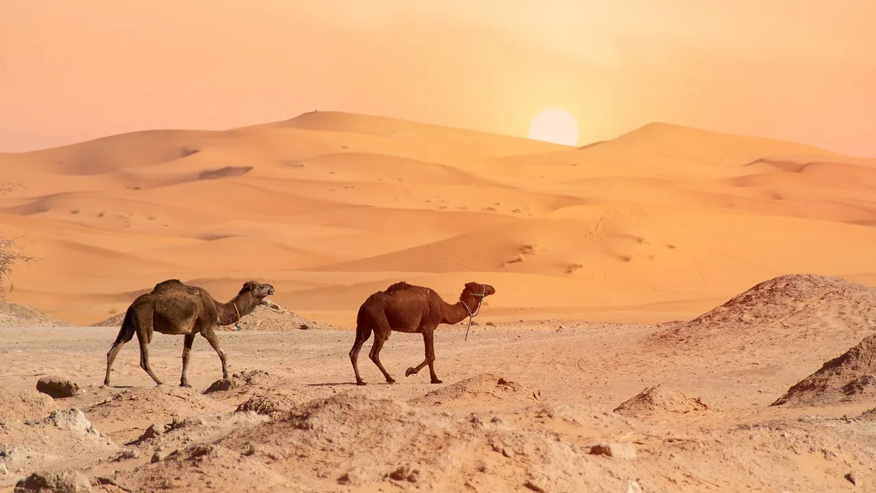 3 o 4 giorni nel deserto del Marocco: quale tour?